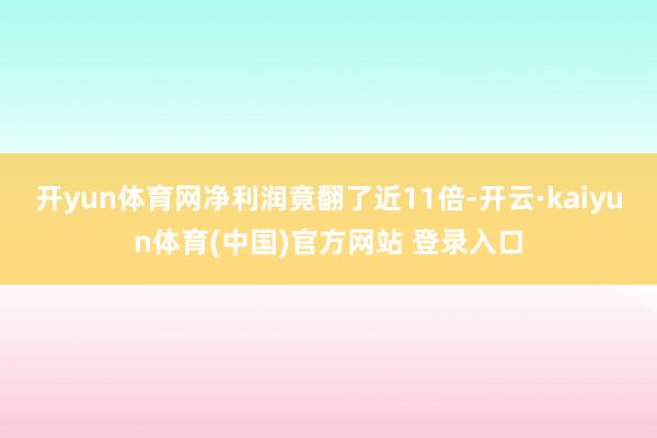 开yun体育网净利润竟翻了近11倍-开云·kaiyun体育(中国)官方网站 登录入口