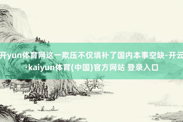开yun体育网这一欺压不仅填补了国内本事空缺-开云·kaiyun体育(中国)官方网站 登录入口